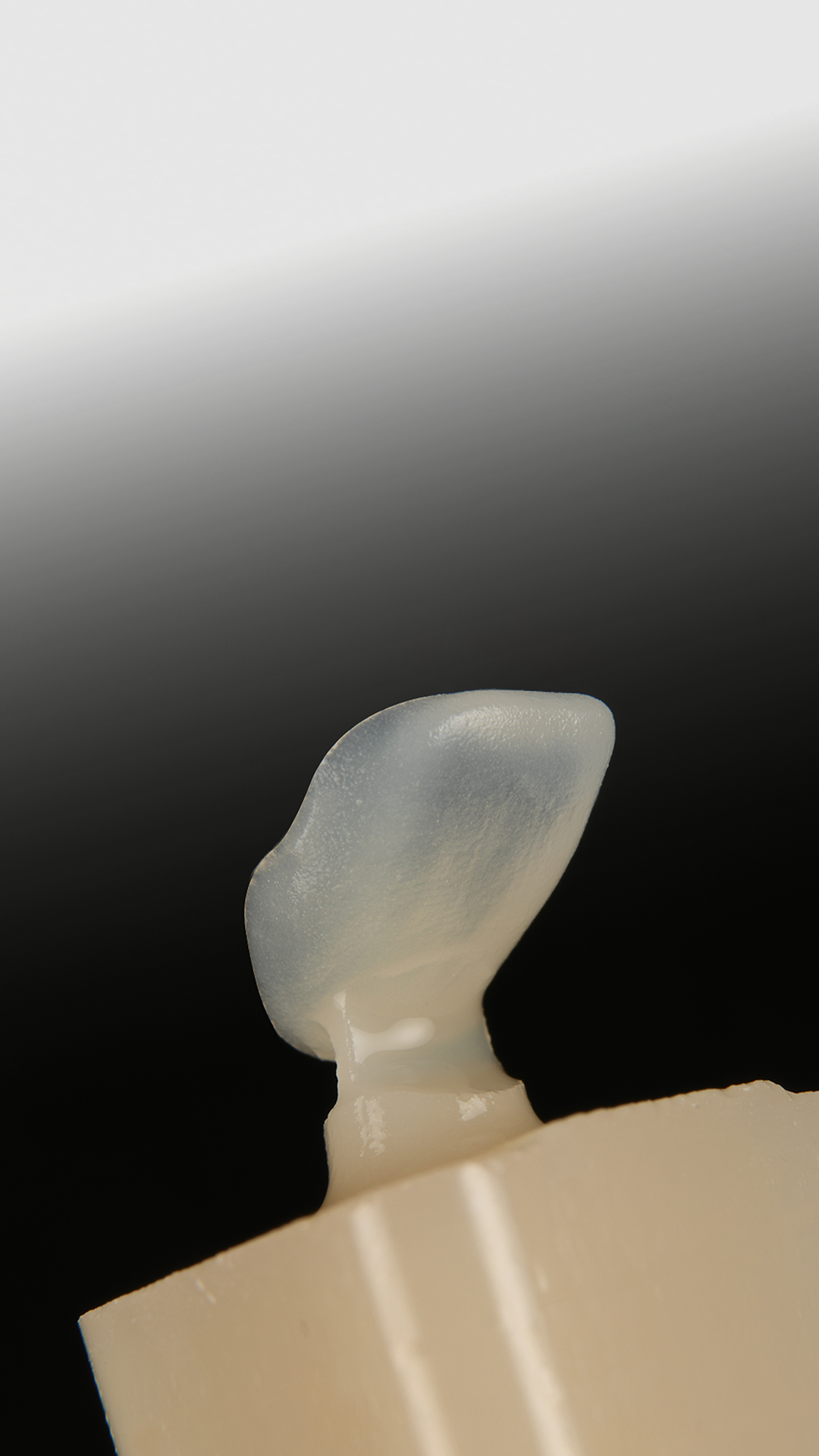 Real Gradient for 
Natural Tooth Esthetics in One Day.