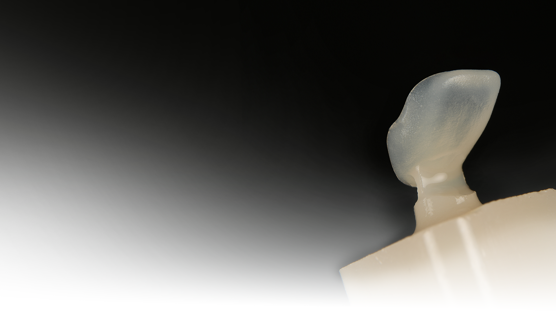 Real Gradient for 
Natural Tooth Esthetics in One Day.