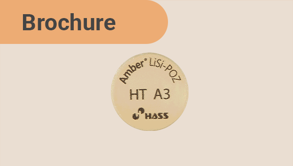 Brochure] Amber Lisi-POZ