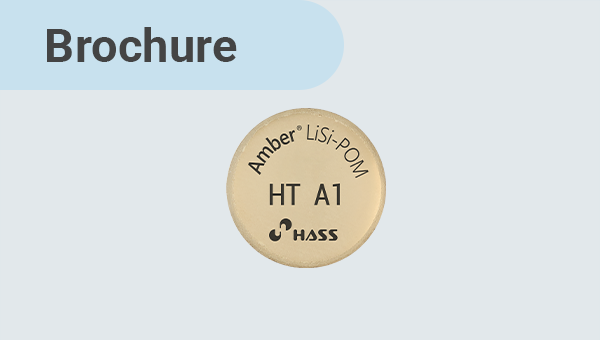 Brochure] Amber Lisi-POM